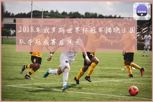 2018年俄罗斯世界杯冠军揭晓法国队夺冠成赛后焦点