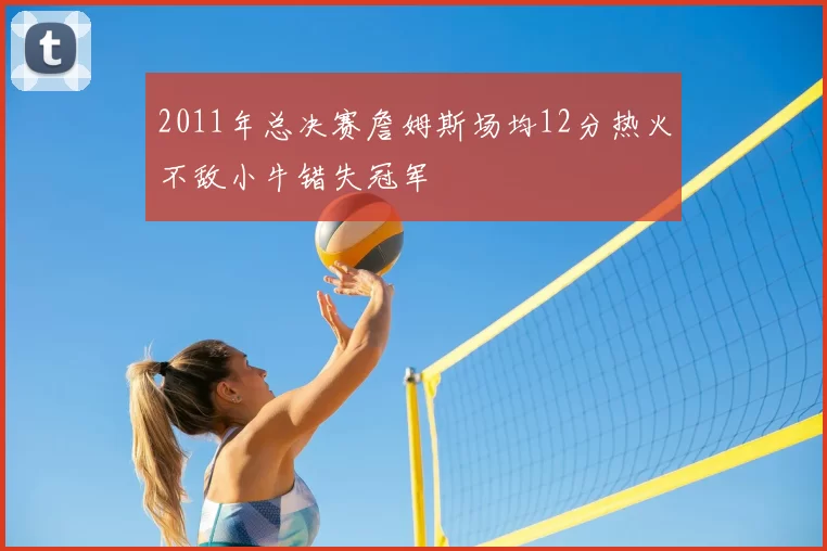 2011年总决赛詹姆斯场均12分热火不敌小牛错失冠军