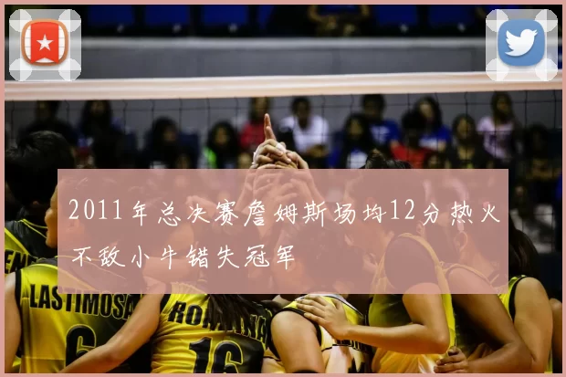 2011年总决赛詹姆斯场均12分热火不敌小牛错失冠军