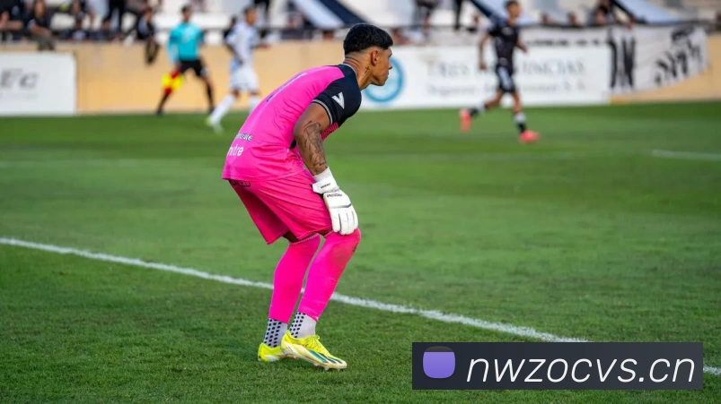 压球首页平台生态图