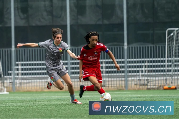 数据防护可视化